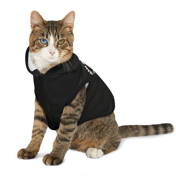 Team Jesus Clothing Co. Pet Hoodie - Image 4