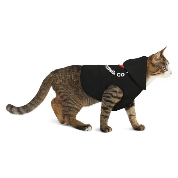 Team Jesus Clothing Co. Pet Hoodie - Image 5